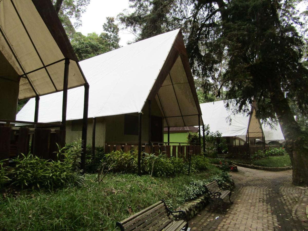 Lawu Forest Camp Sarangan Exterior photo